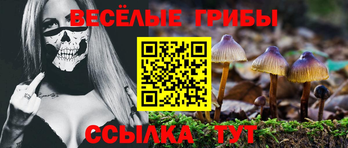 Галлюциногенные грибы мухоморы Сухой Лог