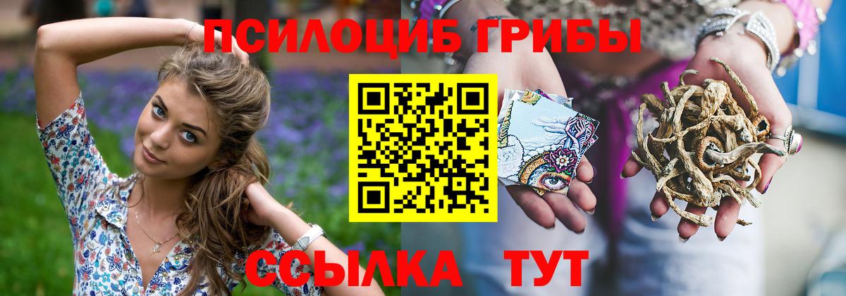 Сухой Лог  Псилоцибиновые грибы GOLDEN TEACHER  Вход с VPN 